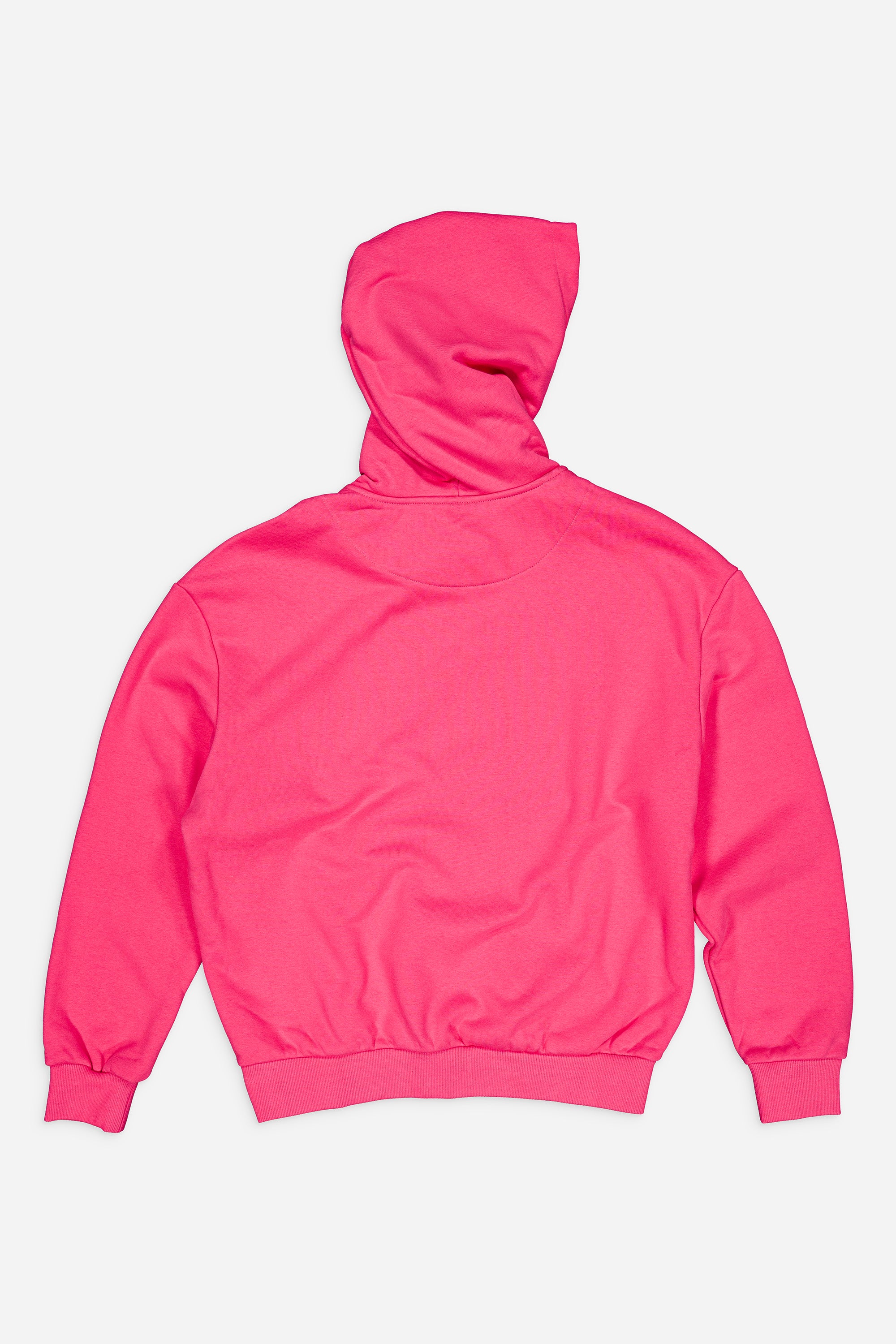 Hoodie 100-5